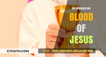 The Power of the Blood of Jesus in Catholicism