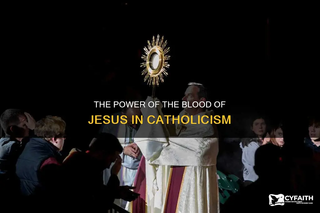 do catholics say blood of jesus