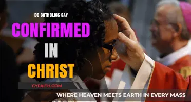 Christians Confirmed: Catholics and Their Faith