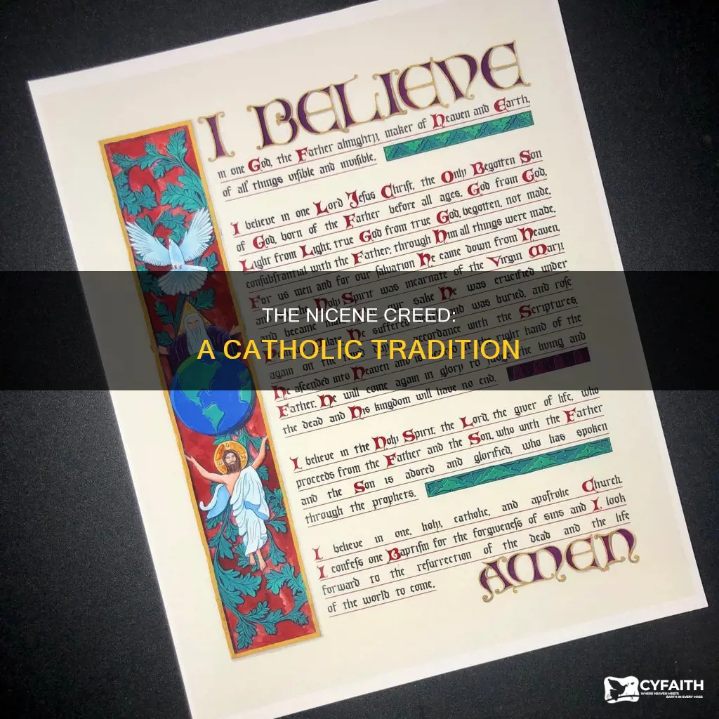 do catholics say the nicene creed