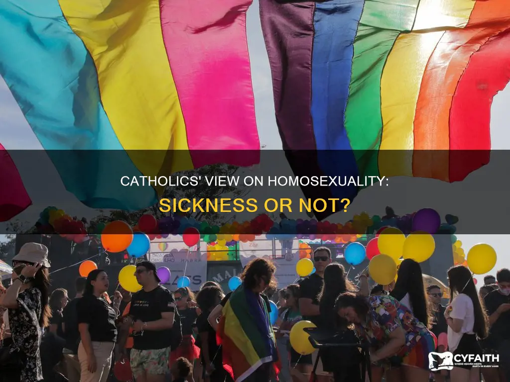 do catholics see homosexuality as a sickness