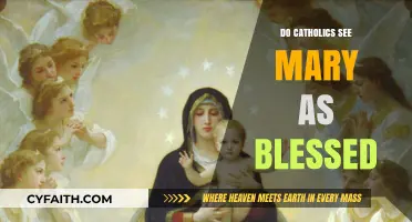 Mary: A Catholic View of the Blessed Mother