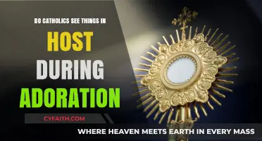 The Mystery of the Host: What Do Catholics See?