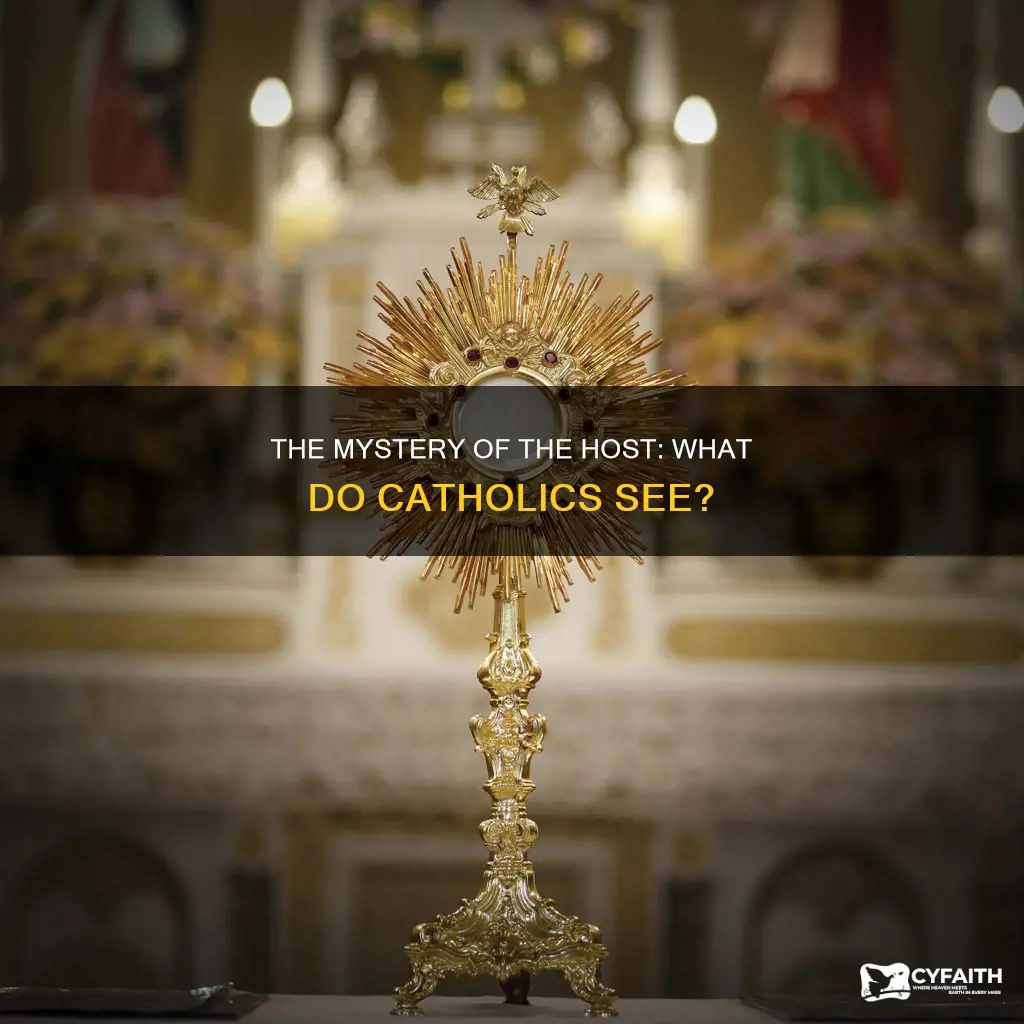 do catholics see things in host during adoration
