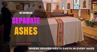 Do Catholics Separate Ashes? Exploring Cremation Practices in Catholicism
