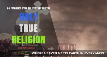 Are Catholics Still Convinced of Their Religion's Exclusive Truth?