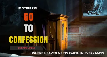 Confession in Modern Catholicism