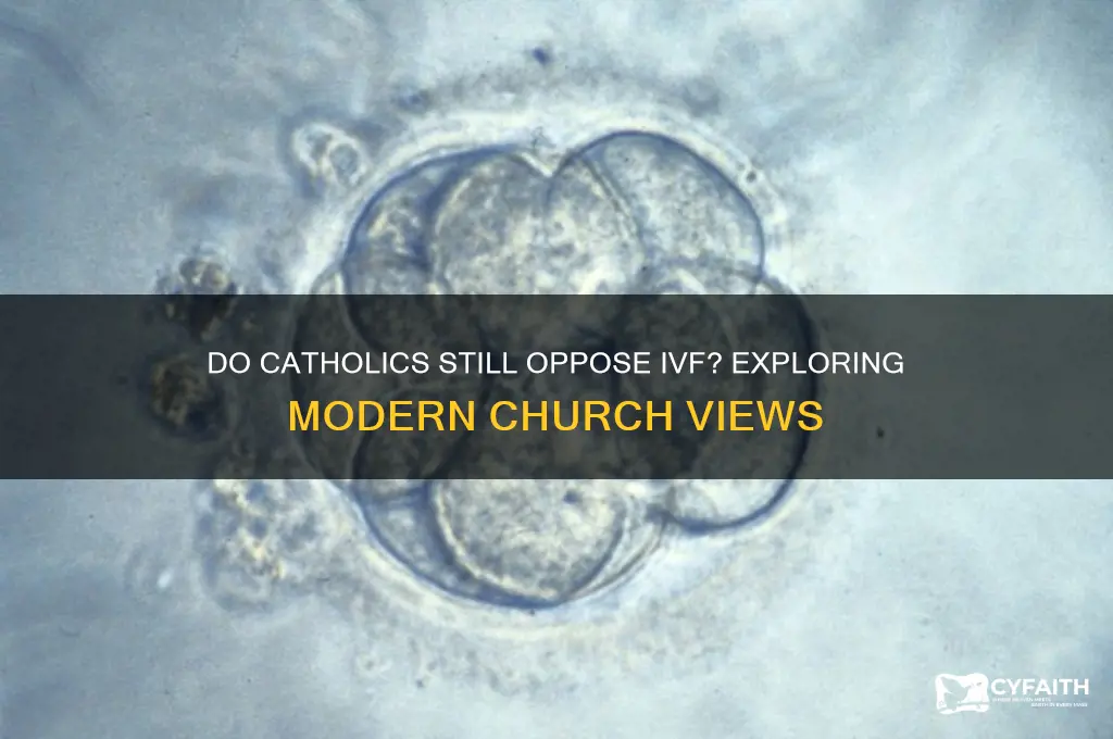 do catholics still hate ivf