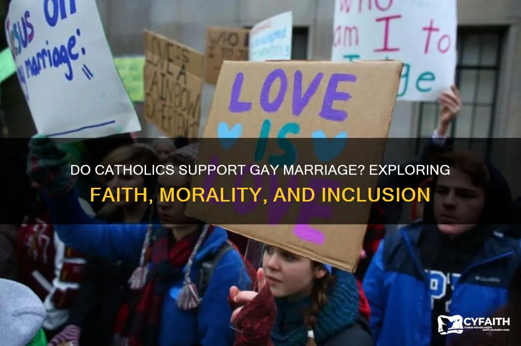 do catholics support gay marriage