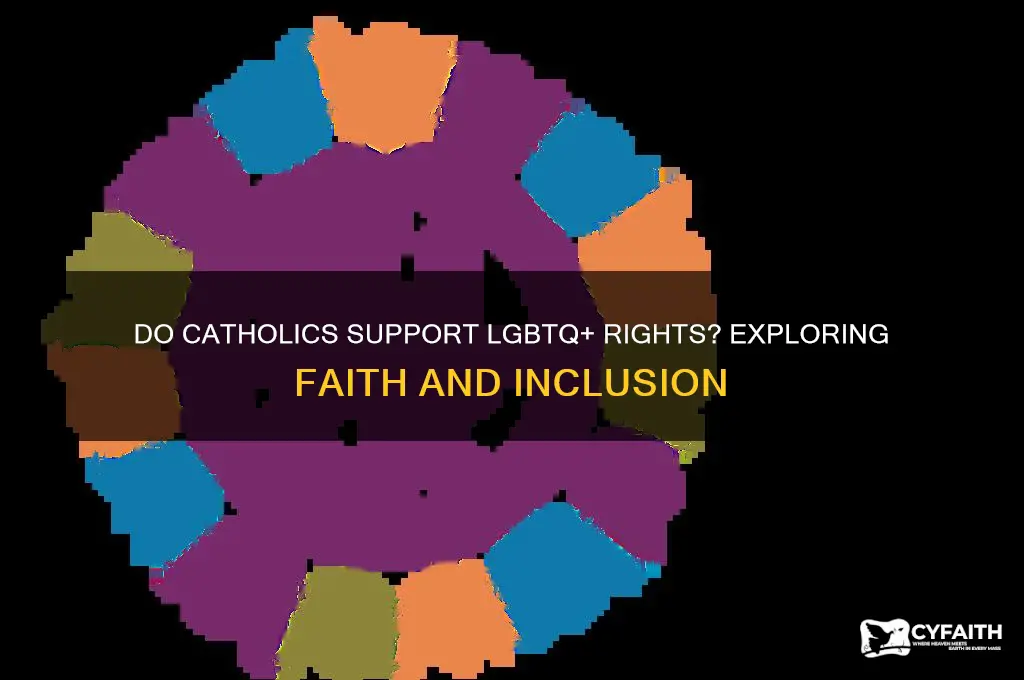 do catholics support lgbtq