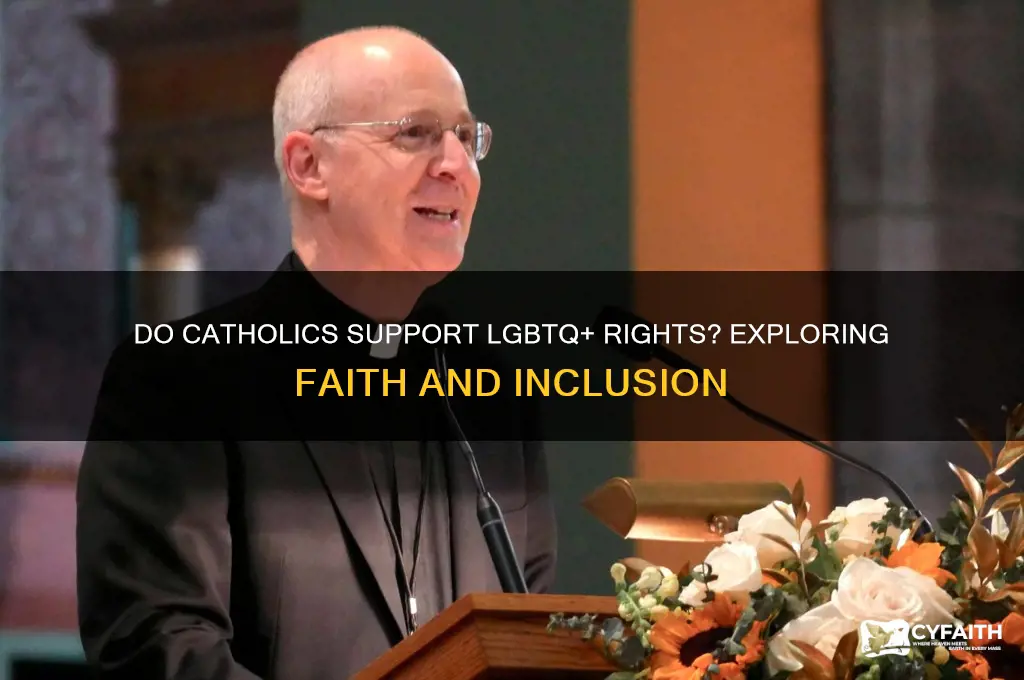 do catholics support lgtbq