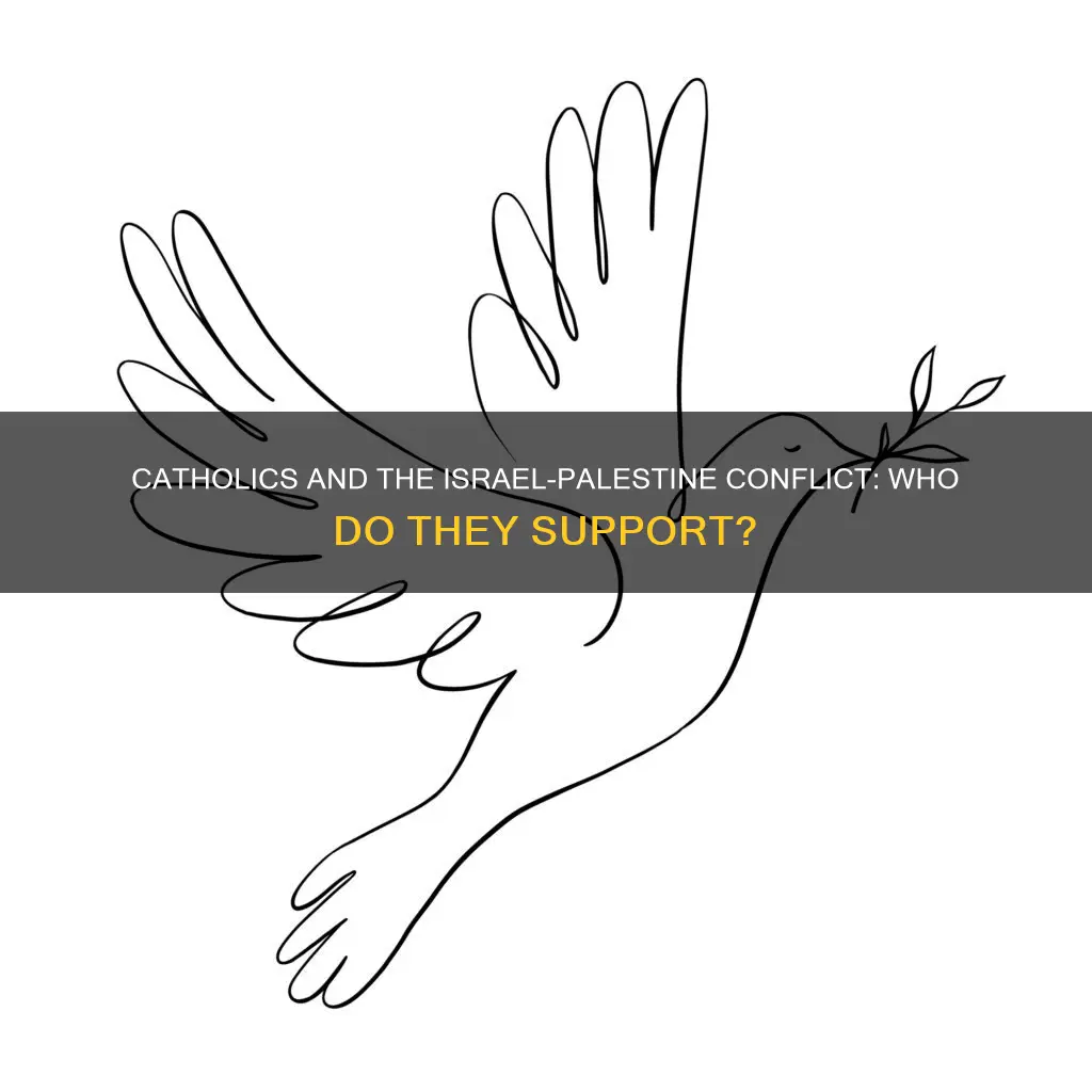 do catholics support palestine or israel