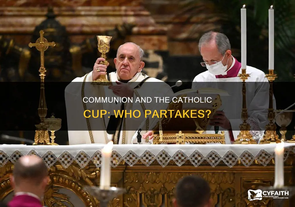 do catholics take the cup in communion
