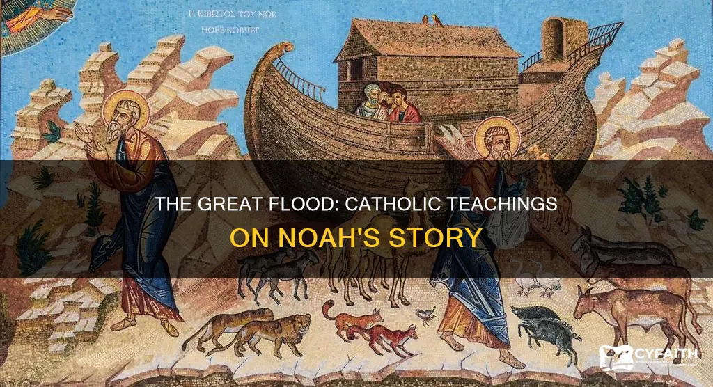do catholics teach of noah and tge flood