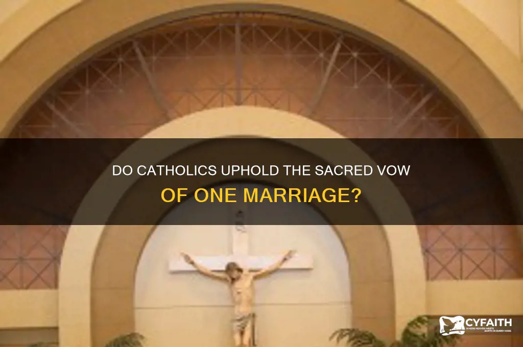 do catholics teach one marriage
