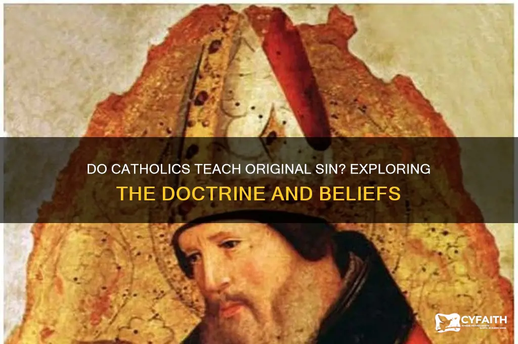 do catholics teach original sin