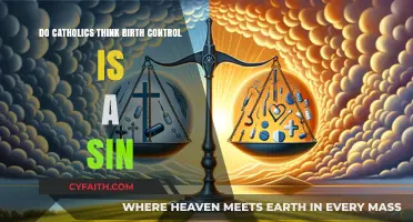 Birth Control and Catholic Sin: What's the Verdict?