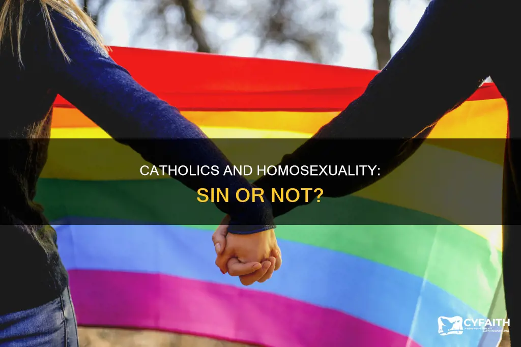 do catholics think homosexuality is a sin