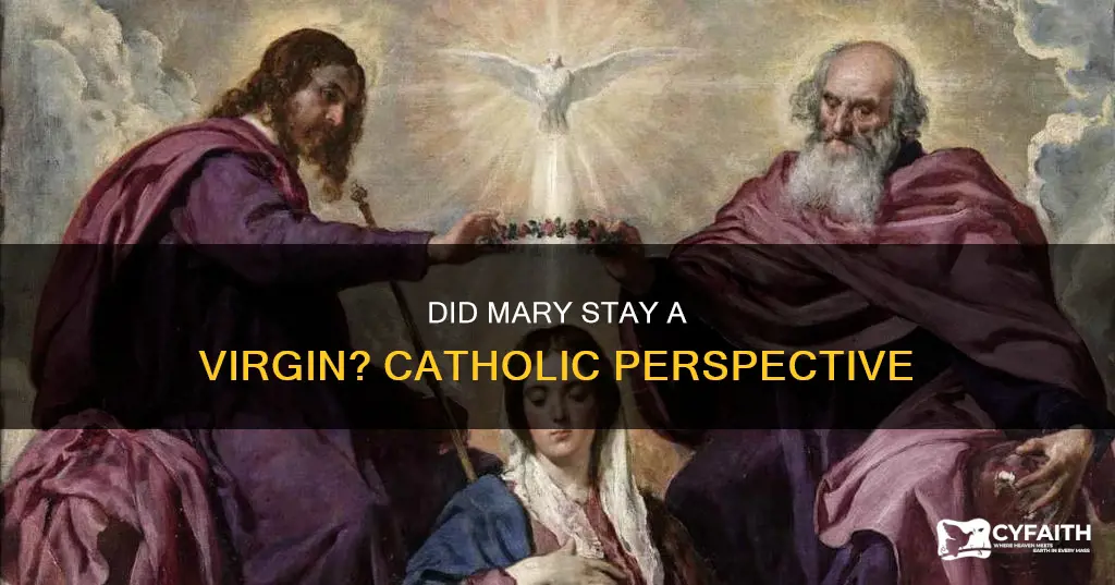 do catholics think mary stayed a virgin