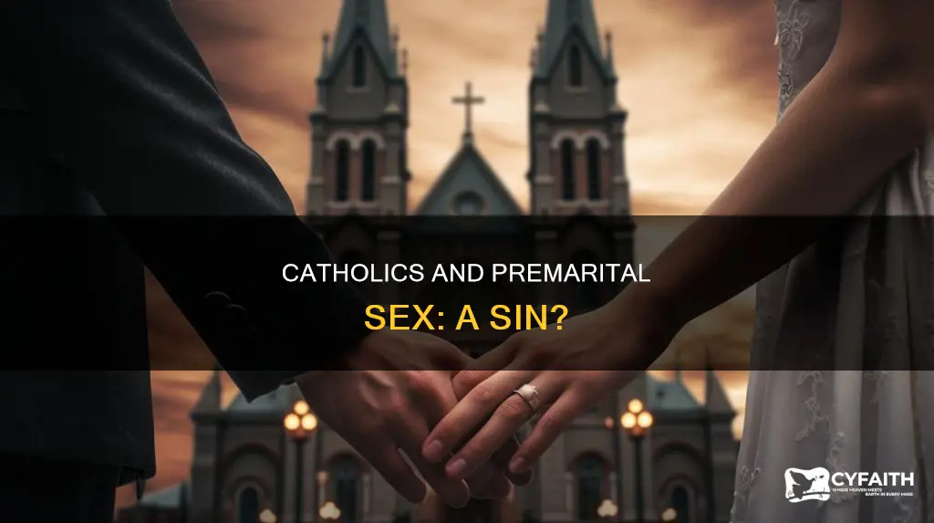 do catholics think premarital sex is a sin