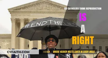 Catholics' Perspective on Reproductive Rights
