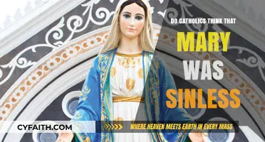 Mary's Sinlessness: Catholic Beliefs Explored