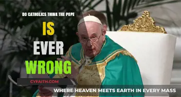 Pope's Infallibility: Catholic Conundrum