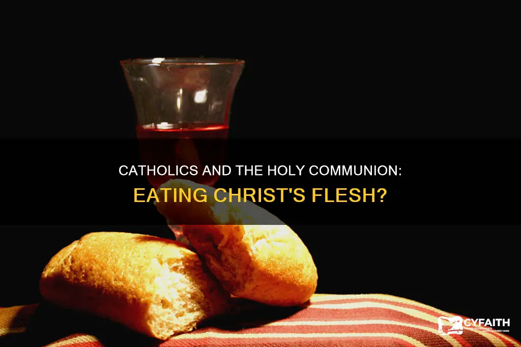 do catholics think they are actually eating christ