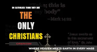 Catholics and Other Christians: Who's Right?