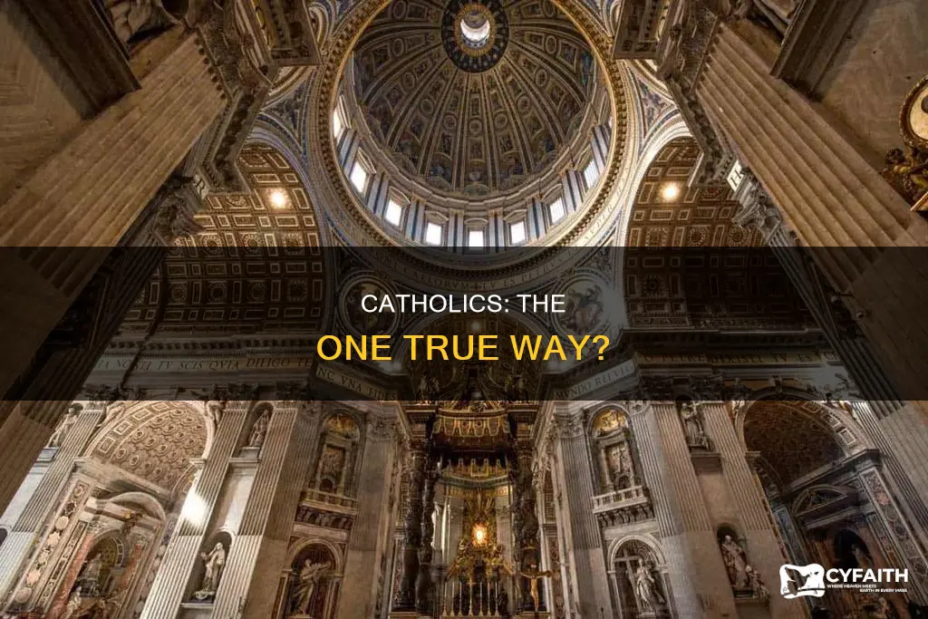 do catholics think they are the only way