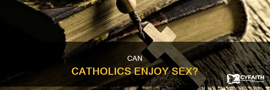 do catholics uave sex for fun