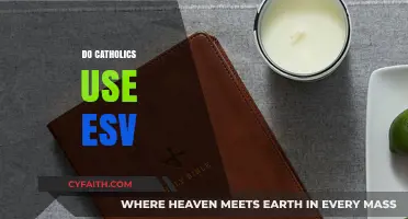 Do Catholics Use the ESV? Exploring Bible Translation Preferences