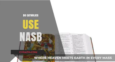Do Catholics Use the NASB? Exploring Bible Translation Preferences