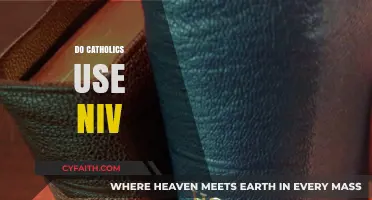 Do Catholics Use the NIV Bible? Exploring Scriptural Preferences