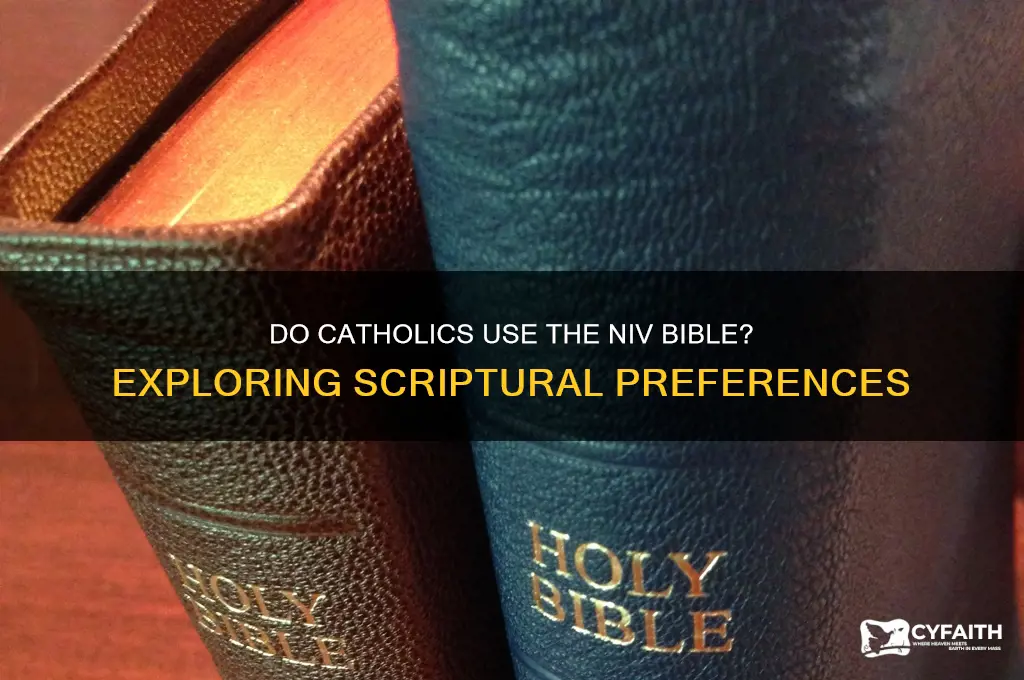 do catholics use niv