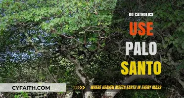 Palo Santo and Catholicism: Exploring Sacred Traditions and Practices