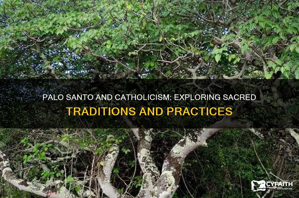 do catholics use palo santo