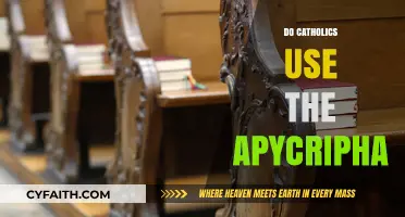 Do Catholics Use the Apocrypha? Exploring Scriptural Traditions