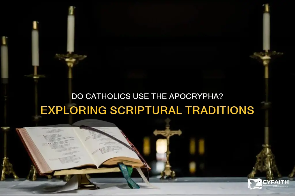do catholics use the apycripha
