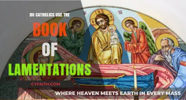 Catholics and the Book of Lamentations: What's the Deal?