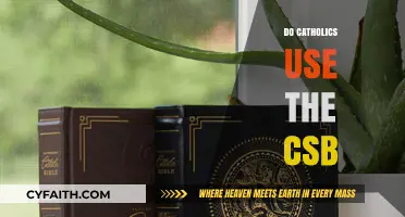 Do Catholics Use the CSB? Exploring Bible Translation Preferences
