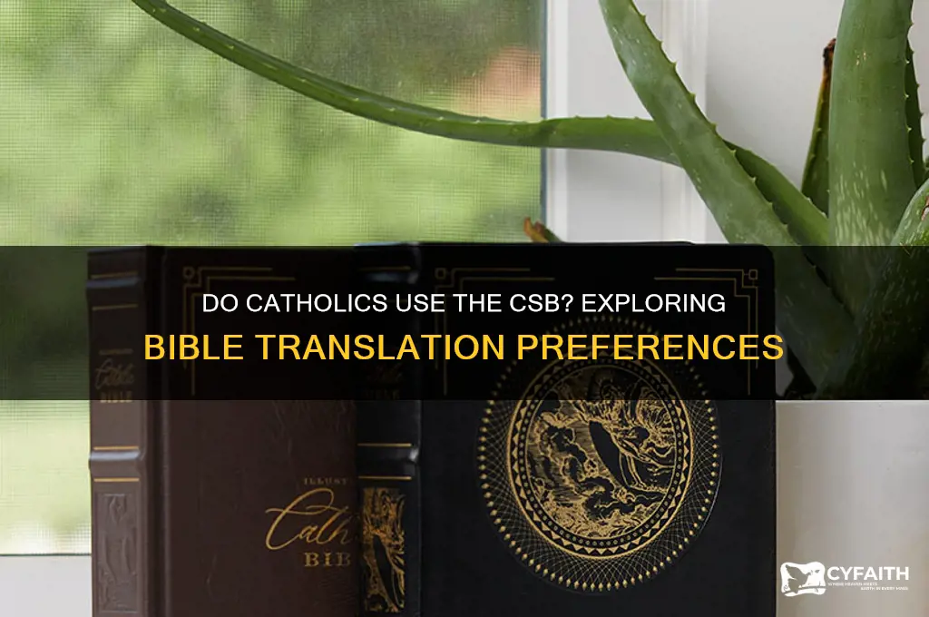 do catholics use the csb