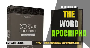 Catholics and the Apocrypha: What's the Deal?