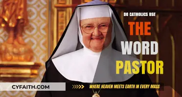 Catholics and the Word "Pastor": What's the Deal?