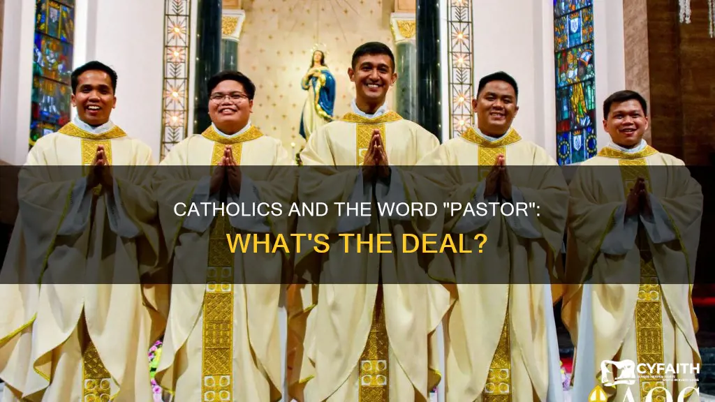 do catholics use the word pastor