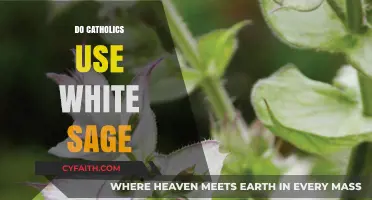White Sage in Catholic Practices: Cultural Appropriation or Spiritual Tool?