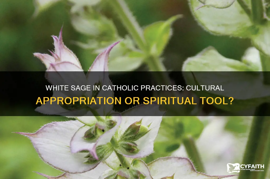 do catholics use white sage