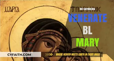 Understanding Catholic Veneration of Blessed Mary: Practices and Beliefs