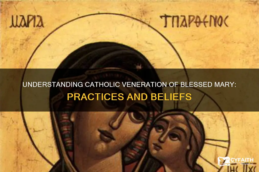 do catholics venerate bl mary