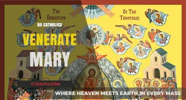 Do Catholics Venerate Mary? Understanding Marian Devotion in Catholicism